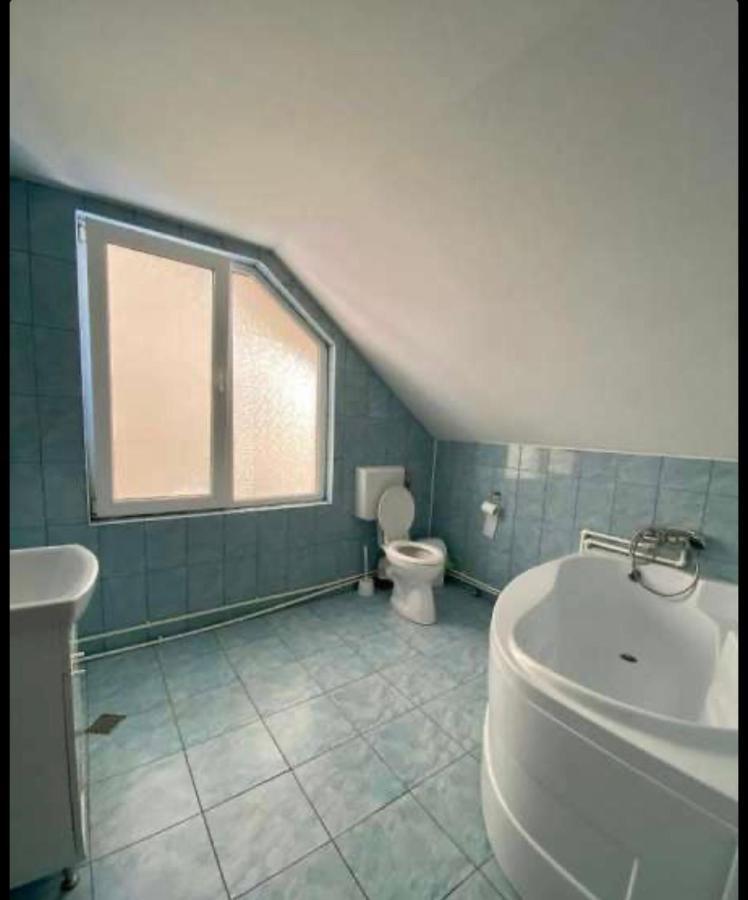 فندق Vila George كوستِنيست المظهر الخارجي الصورة